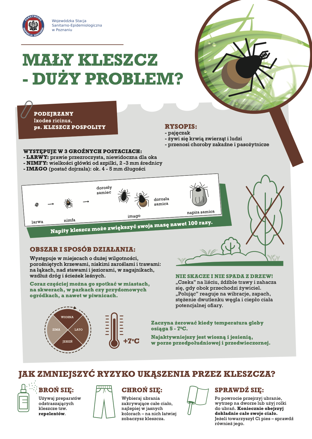 ulotkaProjektuMalyKleszczI